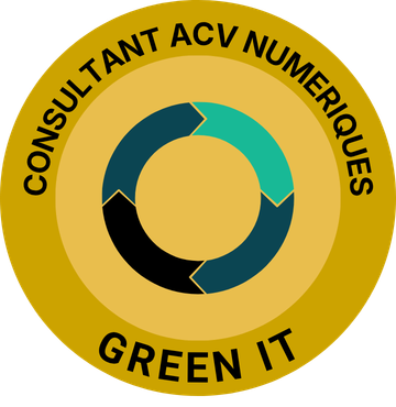 consultant ACV numériques