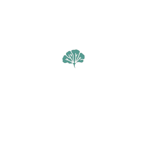 GINKYA, conseil en stratégie d'entreprise robuste