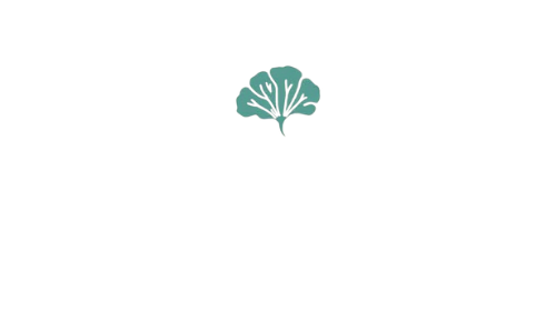 GINKYA, conseil en stratégie d'entreprise robuste