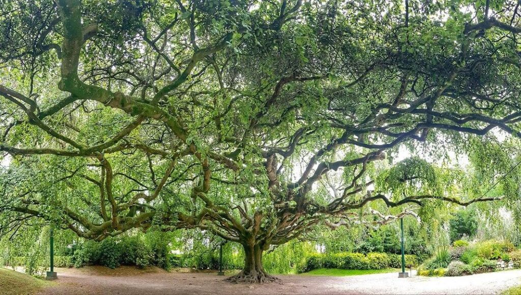 entreprise robuste et perenne
