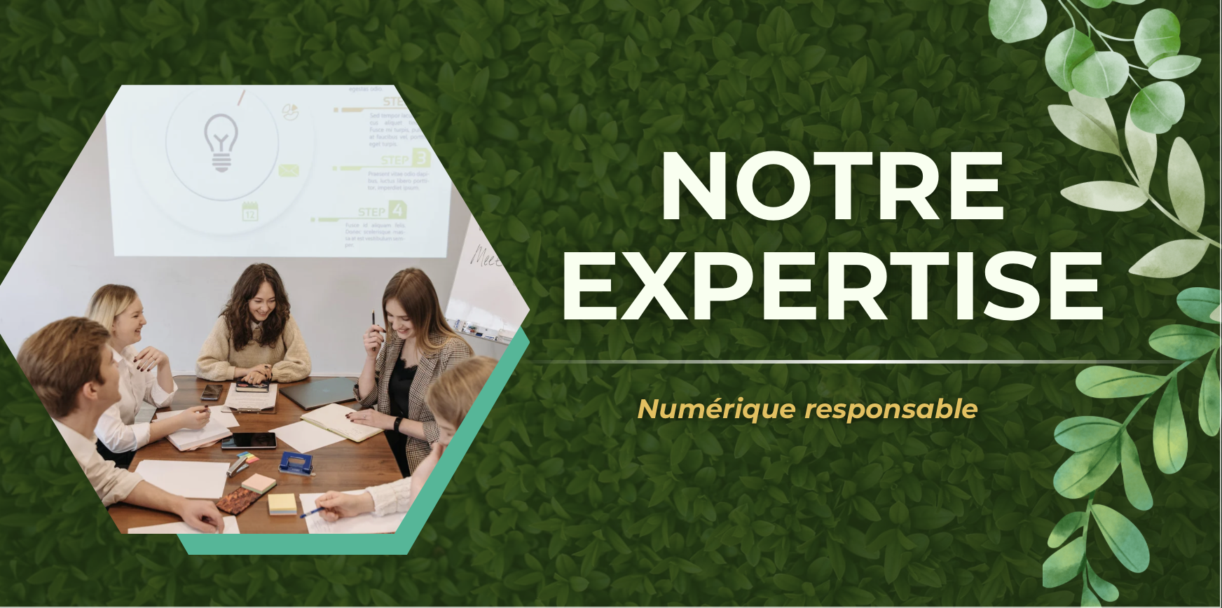 Expertise-Ginkya